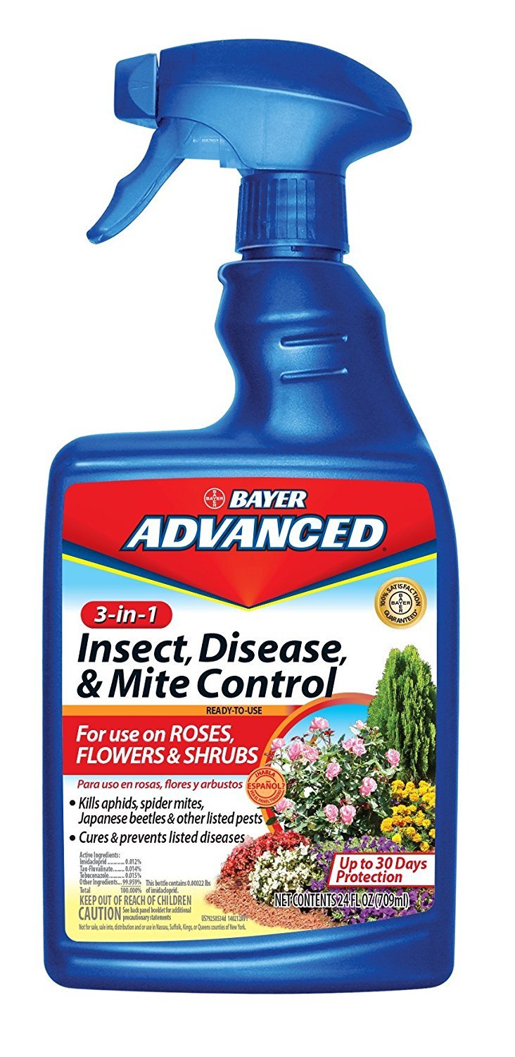 bayer advanced lawn and garden multi insect killer 3-In-1 Insect, Disease & Mite Control, 24 oz
