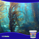 Grow More Sea Grow All Purpose Plant Food Water Soluble 16-16-16 ,25 Lb