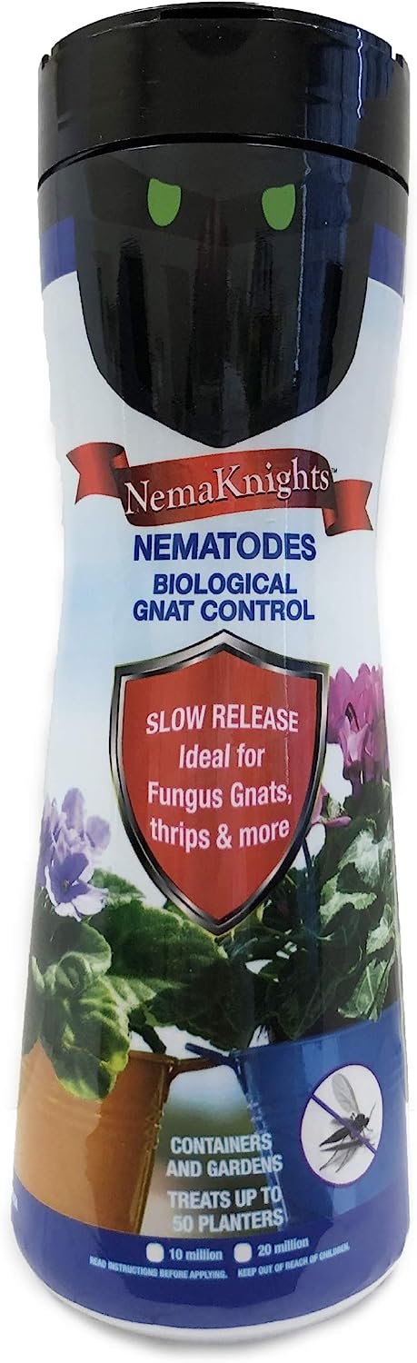 nematodes for fungus gnats indoor plants Enviro NemaKnights Nematodes Fungus Gnats & Thrips
