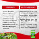 Grow More Palm Food Soluble Fertilizer 15-5-15 1.5lb