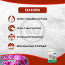 Grow More Orchid Food Urea Free Fertilizer 20-10-20 10oz