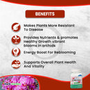 Grow More Orchid Food Urea Free Fertilizer 20-10-20 10oz