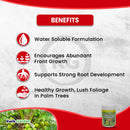 Grow More Palm Food Soluble Fertilizer 15-5-15 3lb