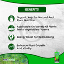 Grow More Seaweed Extract Natural Organic Kelp Liquid 0.10-0.10-0.15 32oz