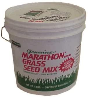 Marathon Grass Seed Bucket 5lb