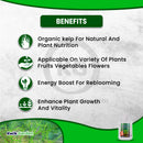 Grow More Seaweed Extract Natural Organic Kelp Liquid 0.10-0.10-0.15 1gal