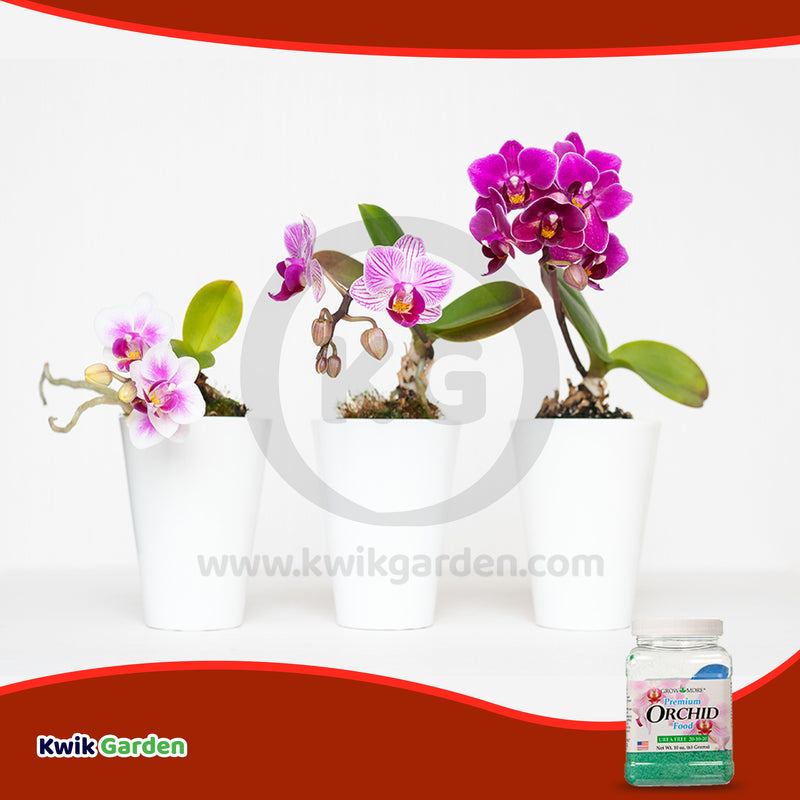 Grow More Orchid Food Urea Free Fertilizer 20-10-20 10oz