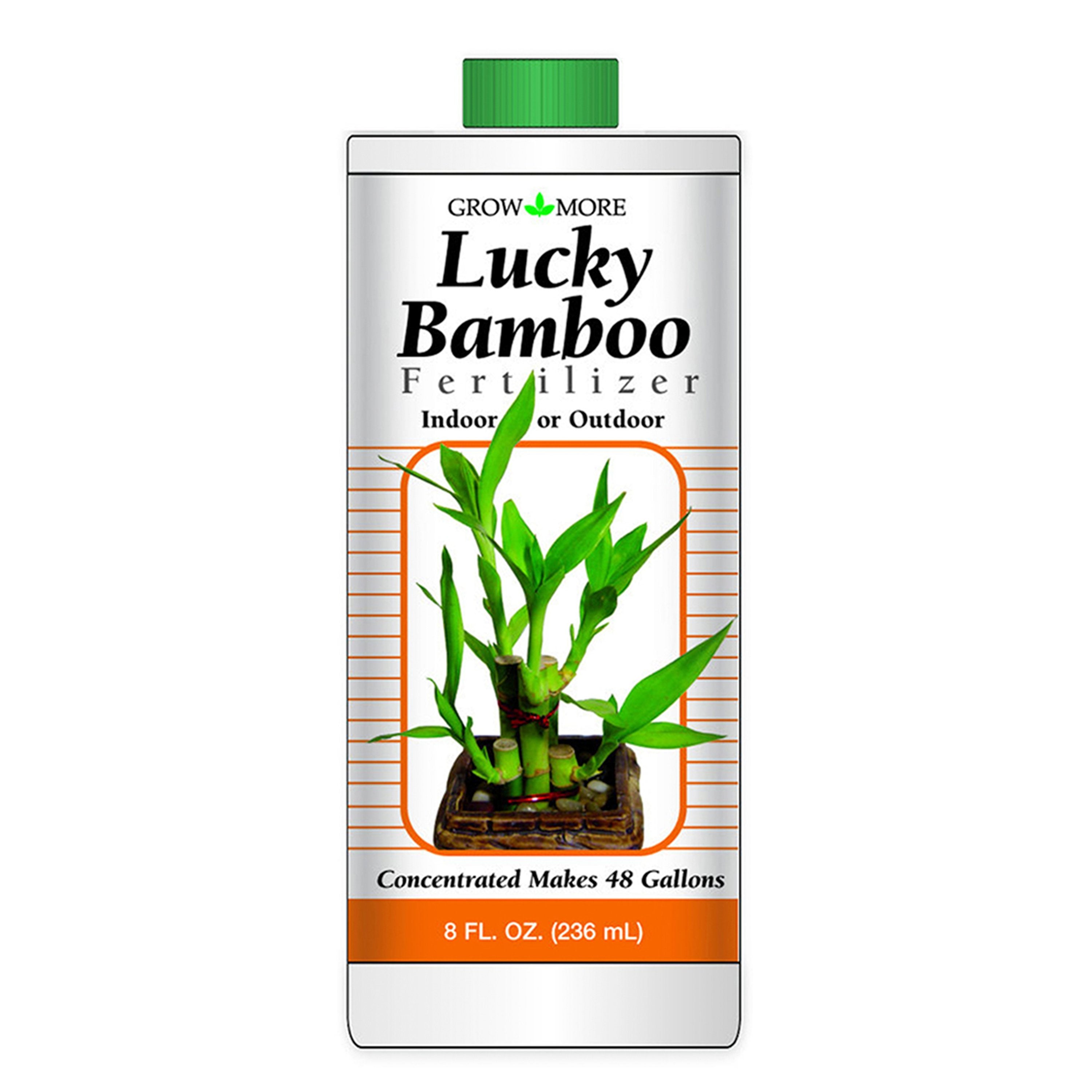 lucky bamboo sun requirements Unlock your bamboo plant's luck with Grow More Lucky Bamboo Fertilizer