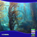 Grow More Sea Grow All Purpose Plant Food Water Soluble 16-16-16 1.5lb