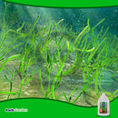 Grow More Seaweed Extract Natural Organic Kelp Liquid 0.10-0.10-0.15 1gal