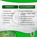 Grow More Seaweed Extract Natural Organic Kelp Liquid 0.10-0.10-0.15 1gal