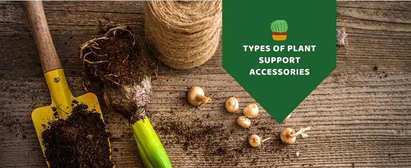 Types of Plant Support Accessories
