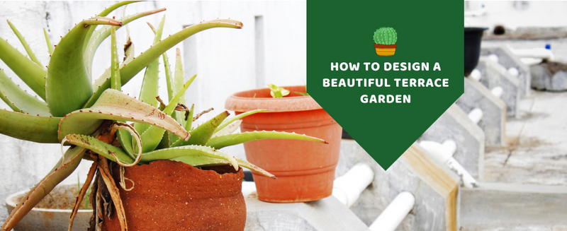 How to design a beautiful terrace garden