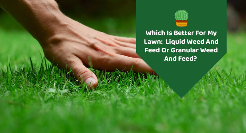 Which Is Better For My Lawn: Liquid Weed And Feed Or Granular Weed