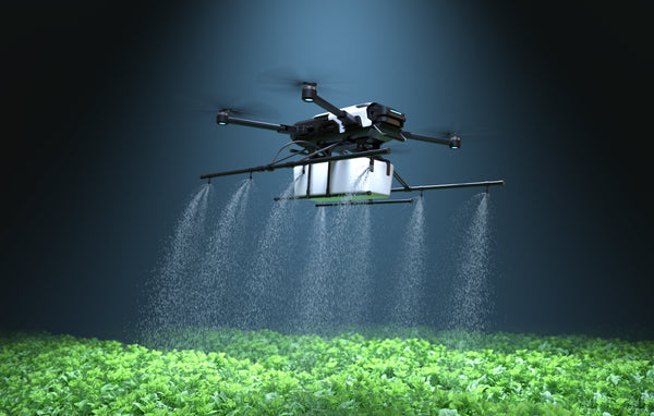 Which Is Better For My Lawn: Liquid Weed And Feed Or Granular Weed