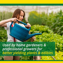 Superthrive Plant Food 4-1-1 Organic 32oz