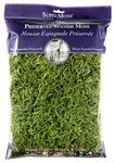 Supermoss Spanish Moss Preserved Grass 8oz