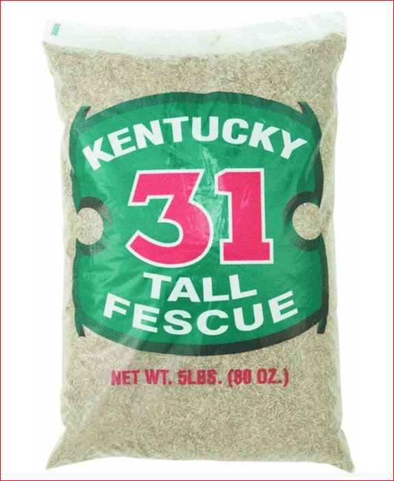 Barenbrug Kentucky 31 Tall Fescue Sun/Shade Grass Seed 5 lb.