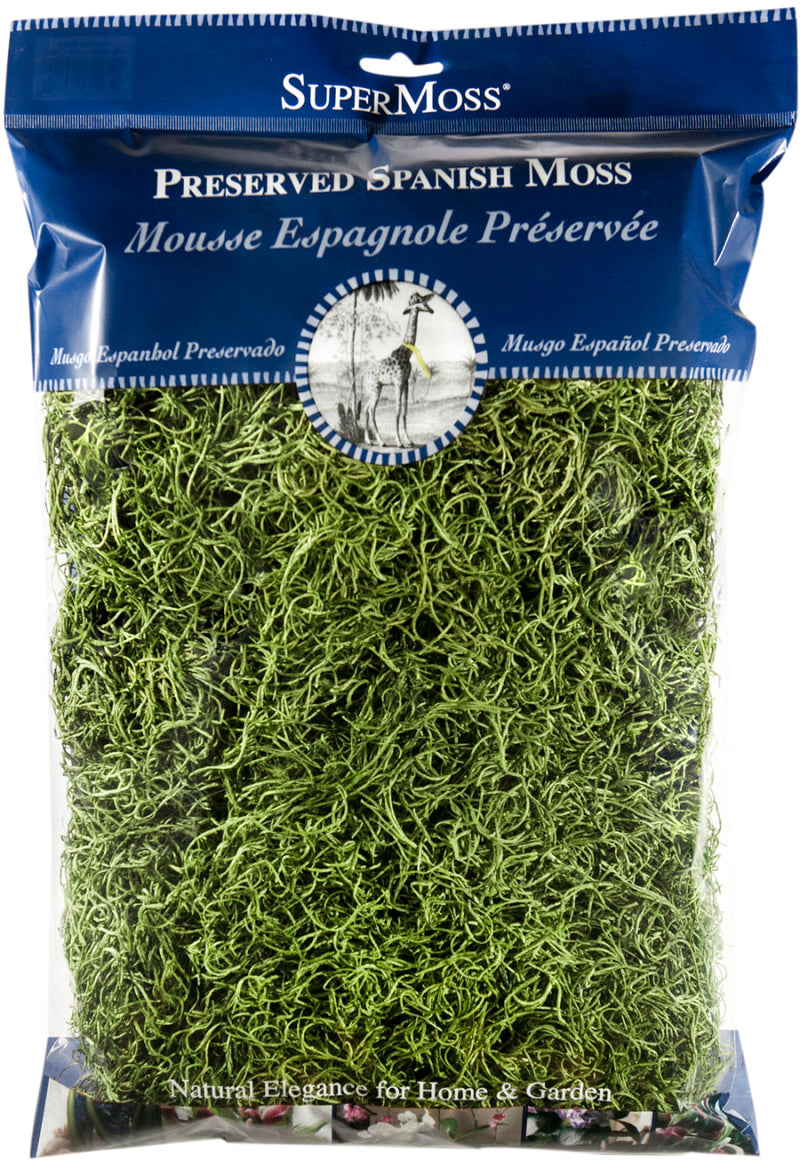 Supermoss Spanish Moss Preserved Grass 8oz