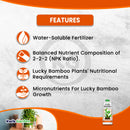 Grow More Lucky Bamboo Fertilizer 2-2-2 8oz