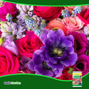 Grow More Super Bloomer Water Soluble Fertilizer Concentrate 15-30-15 1.5lb