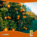 Grow More Citrus Grower Blend Fertilizer 1.7-0-0 20oz