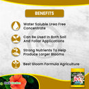 Grow More Hawaiian Bud & Bloom Water Soluble Fertilizer Concentrate 5-50-17, 5 Lb