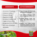 Grow More Palm Food Soluble Fertilizer 15-5-15 3lb