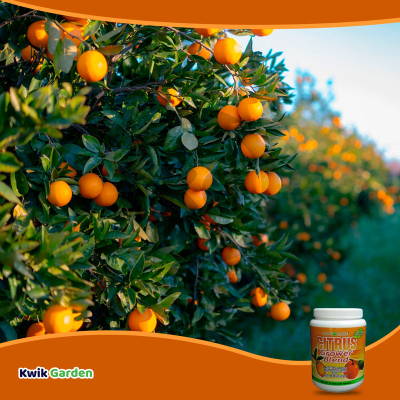 Grow More Citrus Grower Blend Fertilizer 1.7-0-0, 10oz