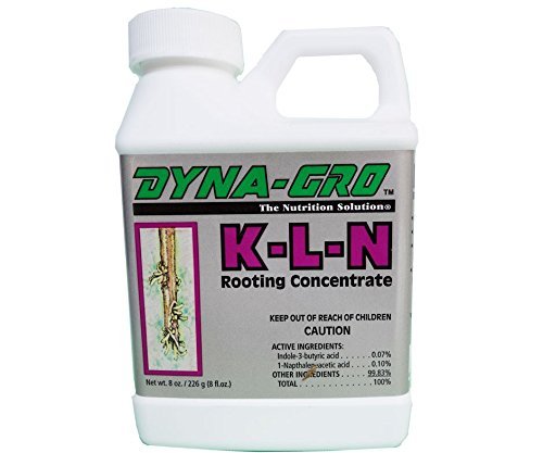 Dyna-Gro K-L-N Rooting Concentrate - 8oz