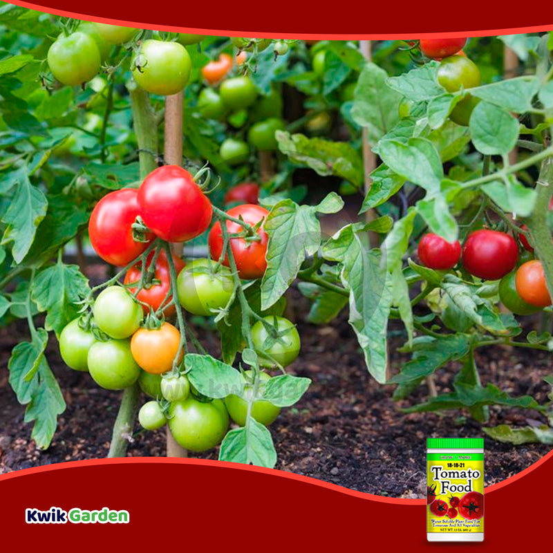 Grow More Tomato Food Water Soluble Fertilizer 18-18-21, 1.5 Lb