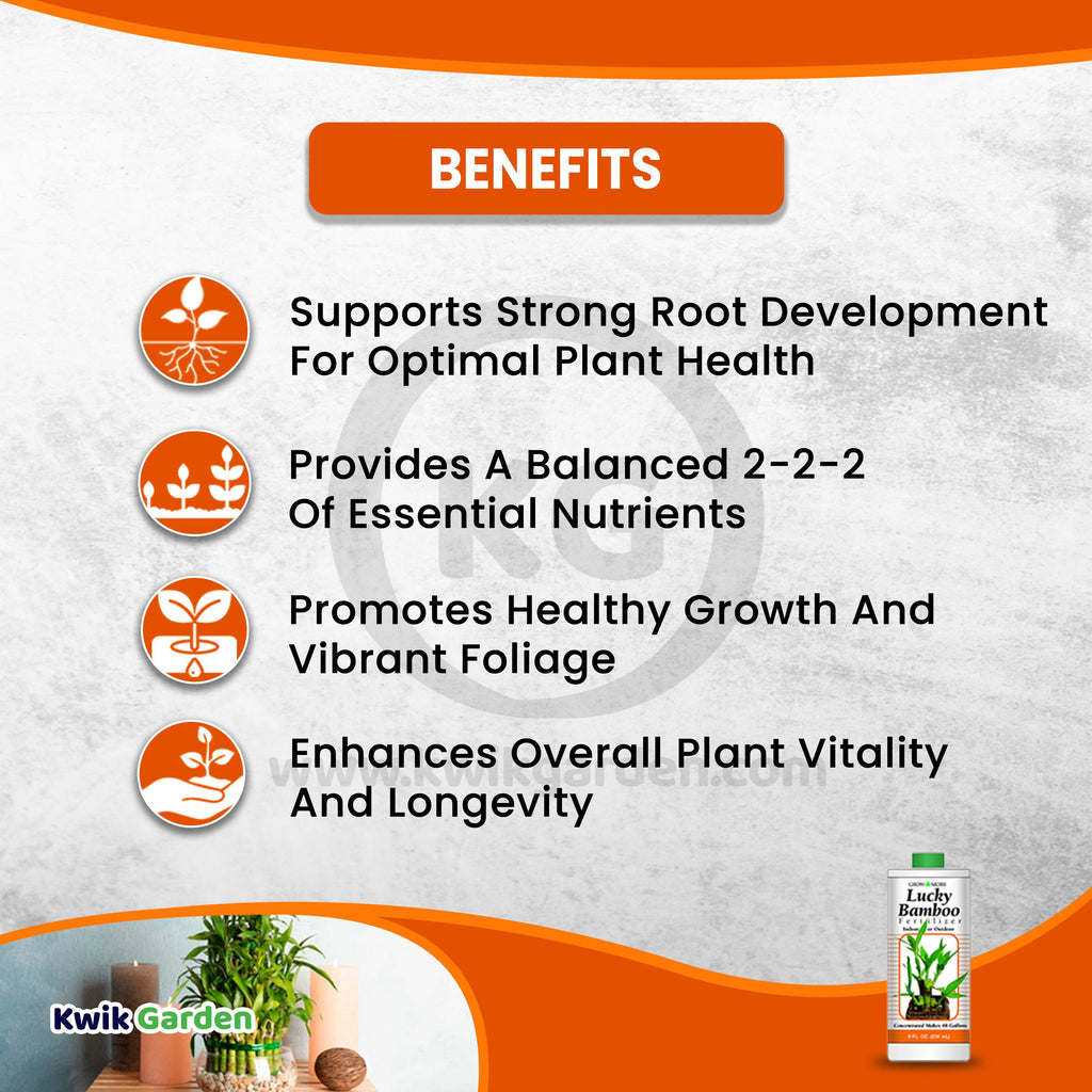 nutrients for lucky bamboo Unlock your bamboo plant's luck with Grow More Lucky Bamboo Fertilizer