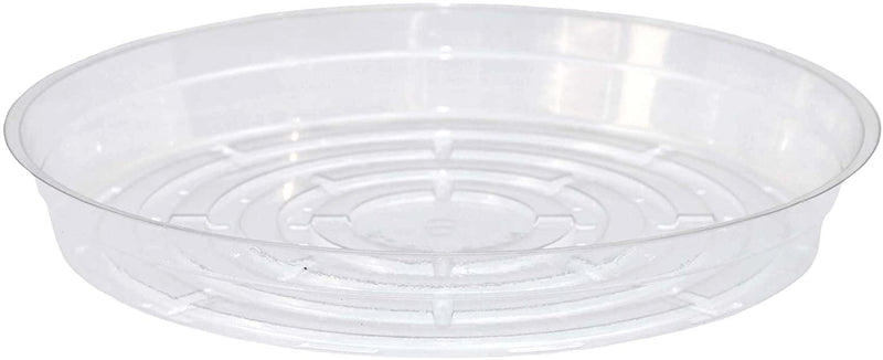Curtis Wagner Plastics Clear Vinyl Plant Saucer 6in