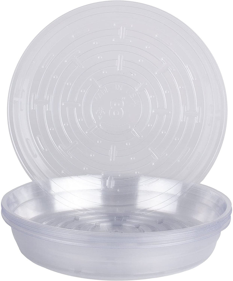 Curtis Wagner Plastics Clear Vinyl Plant Saucer 8in