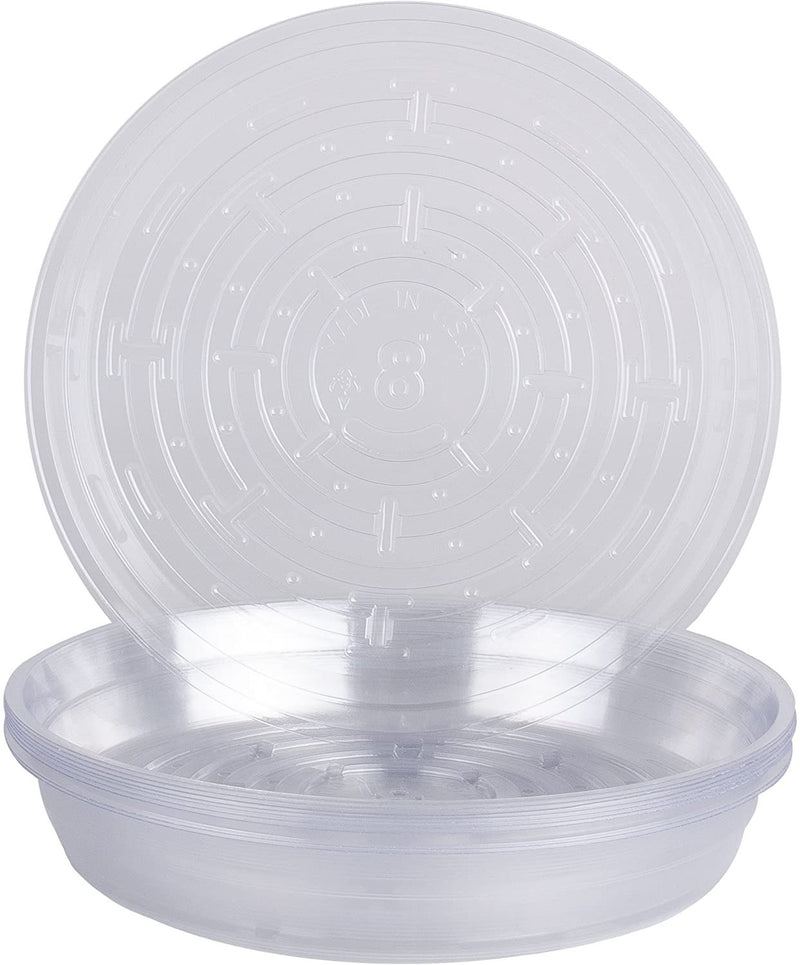 clear plastic saucer for plants Clear Premium Saucer, 8"