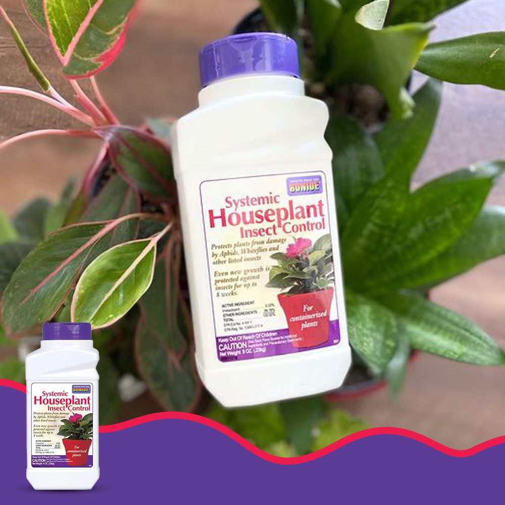 bonide systemic house plant insect control granules 8 oz Systemic Houseplant Insect Control Bonide 8 oz