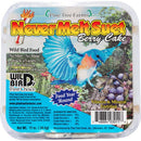 Pine Tree Berry Never Melt Suet Dough 12oz