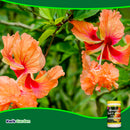 Grow More Hawaiian Bud And Bloom 5-50-17 1.5lb