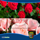 Grow More Magnum Rose Food Water Soluble Fertilizer Concentrate 8-10-8 4.5lb