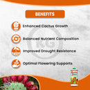 Grow More Cactus Juice Plant Food Fertilizer 1-7-6 16oz