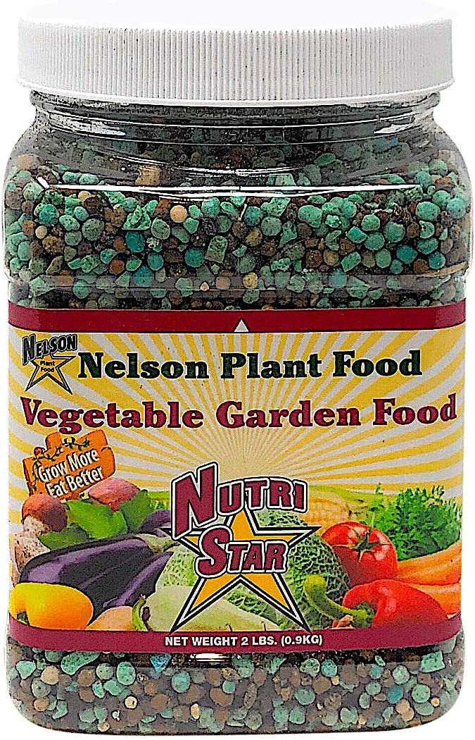 Nelson Vegetable Garden 12-14-11, 2lb