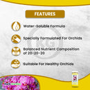 Grow More Orchid Food Maintenance Fertilizer 20-20-20 1.25b