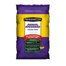 Pennington Annual Ryegrass Grass Seed 10lb