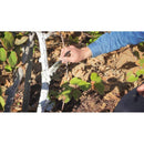 IV Organic 3-In-1 Plant Guard White 1pt