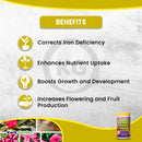 Grow More EDDHA Iron Chelate 6.0% 1lb