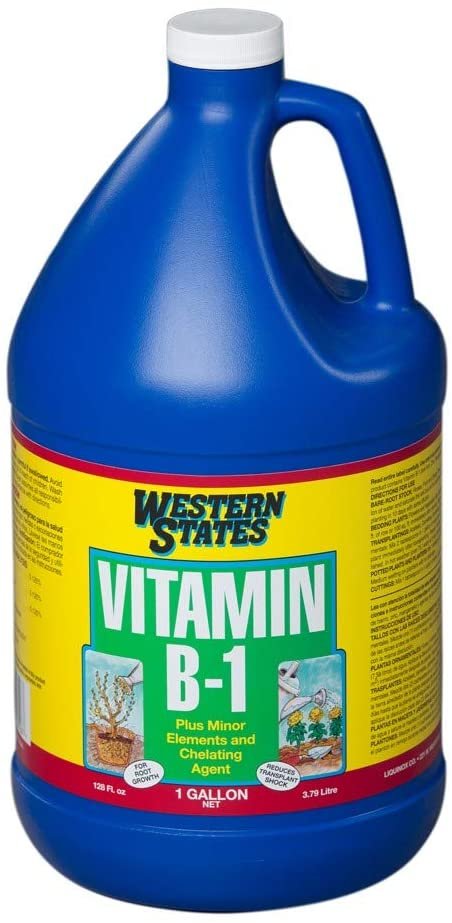 Liquinox Western States Vitamin B-1 1gal