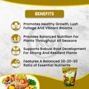 Grow More All Season's Plant Food Soluble Fertilizer 20-20-20 Bag 5lb