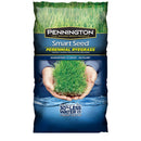 Pennington Smart Seed Perennial Rye Bld Powder Coated 3lb