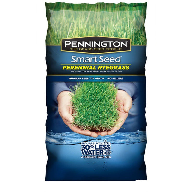 Pennington Smart Seed Perennial Rye Bld Powder Coated 3lb