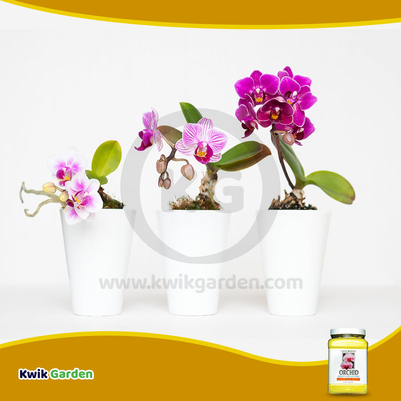 Grow More Orchid Food Maintenance Fertilizer 20-20-20 3Lb